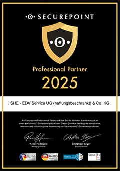 Partnerzertifikat Professional Partner 2025